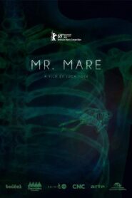 Lidérc úr Online En Netflix