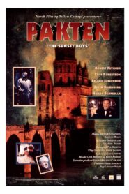 Pakten Online En Netflix