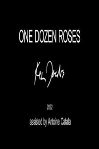 One Dozen Roses Online En Netflix