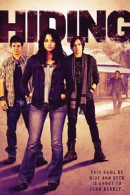 Hiding Online En Netflix