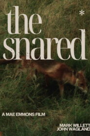 The Snared Online En Netflix