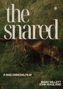 The Snared Online En Netflix