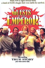 Silent Cries Online En Netflix