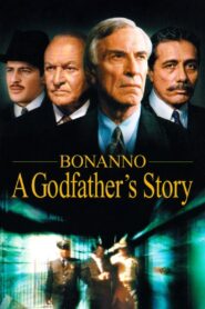 Bonanno: A Godfather’s Story Online En Netflix