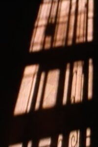 the willing voyeur… Online En Netflix