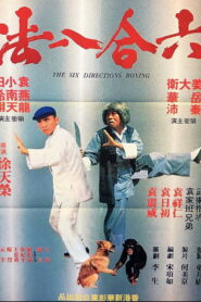 六合八法 Online En Netflix