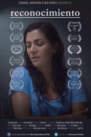 Reconocimiento Online En Netflix