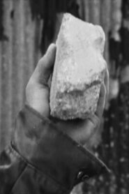 사로 Online En Netflix