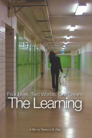 The Learning Online En Netflix