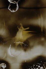 Wild Girl Online En Netflix