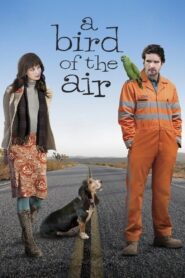 A Bird of the Air Online En Netflix