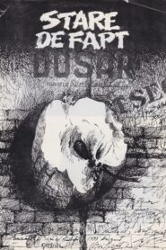 Stare de fapt Online En Netflix