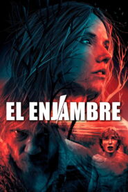 El Enjambre Online En Netflix