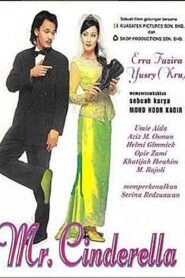 Mr. Cinderella Online En Netflix