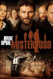 Arne Dahl: Misterioso Online En Netflix