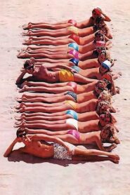 Resort privado Online En Netflix