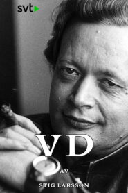 VD Online En Netflix