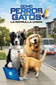 Como perros y gatos 3: Patitas unidas Online En Netflix