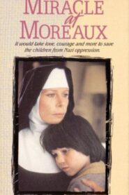 Miracle at Moreaux Online En Netflix