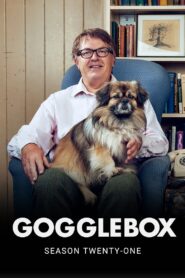 Gogglebox: Temporada 21 {year} En Netflix