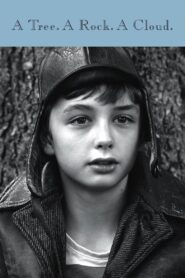 A Tree. A Rock. A Cloud. Online En Netflix