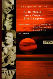 Super Guitar Trio And Friends in concert Online En Netflix