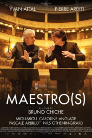 Maestro(s) Online En Netflix