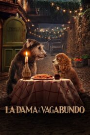 La Dama y el Vagabundo Online En Netflix