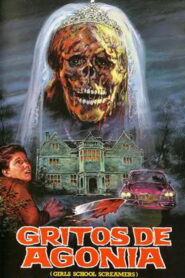 Girls School Screamers Online En Netflix