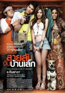 สายลับจับบ้านเล็ก Online En Netflix