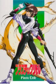 プラスチックリトル Online En Netflix