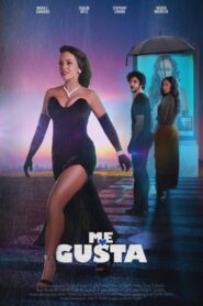 Me gusta Online En Netflix