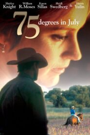75 Degrees in July Online En Netflix