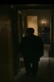 نور وظلال Online En Netflix