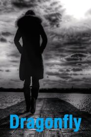 Dragonfly Online En Netflix