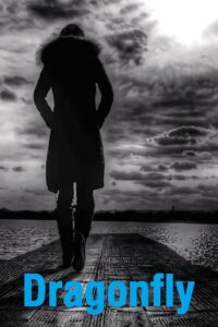 Dragonfly Online En Netflix
