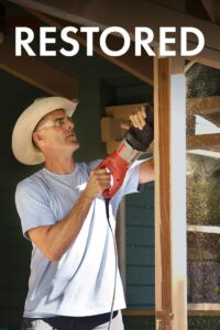 Restored 2016 En Netflix