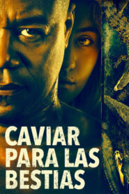 Bayou Caviar Online En Netflix
