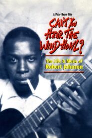 Can’t You Hear the Wind Howl? The Life & Music of Robert Johnson Online En Netflix