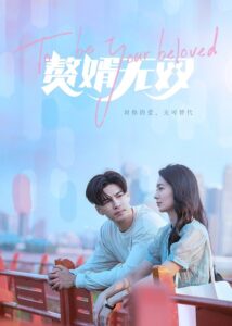 赘婿无双 2023 En Netflix
