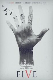 Five Online En Netflix