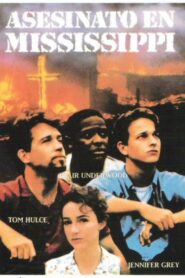 Murder in Mississippi Online En Netflix