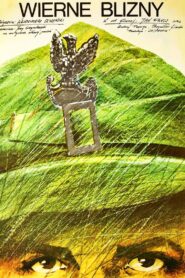 Wierne blizny Online En Netflix