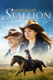 Midnight Stallion Online En Netflix