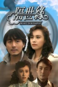 隔世缘 Online En Netflix