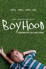 Boyhood: Momentos de una vida Online En Netflix