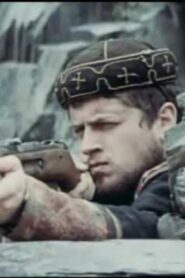 თეთრი დროშა Online En Netflix