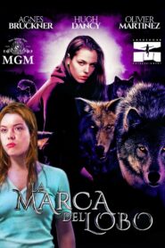 Blood and Chocolate Online En Netflix