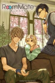 Room Mate 2017 En Netflix