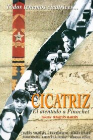 Cicatriz (El atentado a Pinochet) Online En Netflix
